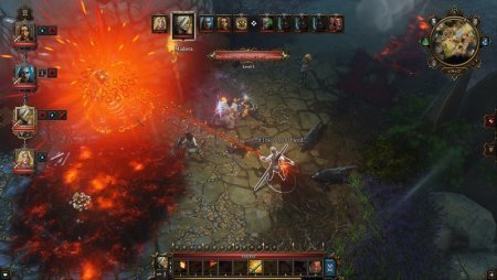 Divinity Original Sin Enhanced Edition